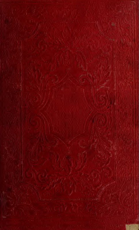 Book Cover - no writing on the cover